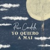 Yo Quiero a Mai - Single