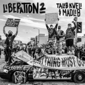 Talib Kweli - The Right To Love Us