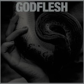 Godflesh - Army of Non