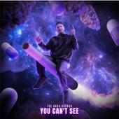 You Can't See (Extended Mix) artwork