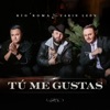 Tú Me Gustas by Río Roma, Carin Leon iTunes Track 1