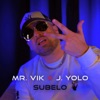 Subelo - Single