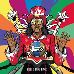 WORLD WIDE FUNK cover art