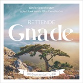 Rettende Gnade artwork