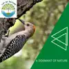 A Dormant of Nature album lyrics, reviews, download
