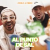 Al Punto de Sal by zzoilo, Fabbio iTunes Track 1
