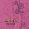 Walaya - Ripple Effect Band