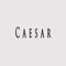 Caesar (feat. Angriffsbeat) - DIDKER lyrics