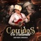 Entre Barrotes (feat. Banda Tierra Blanca) - Jesus Payan e Imparables lyrics
