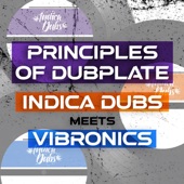 Principles of Dubplate artwork