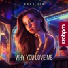 Why You Love Me - Single