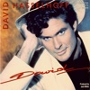 David Hasselhoff - Do The Limbo Dance