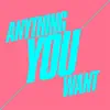 Stream & download Anything You Want - Single