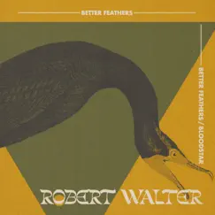 Better Feathers / Bloodstar - Single by Robert Walter album reviews, ratings, credits