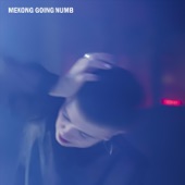 Mekong - Going Numb
