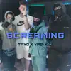 Screaming (feat. ytpYasi & C1) - Single album lyrics, reviews, download