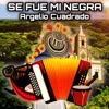 Se Fue Mi Negra - Single