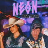 Neon (Funk Remix) artwork