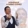 Homenaje a Dario Gomez - Single