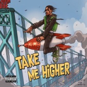 Take Me Higher artwork