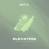 Elevating Melodies 003