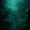 True Love (Sped Up) - Single