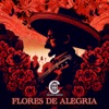 Flores De Alegria - Single