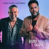 Bailo Vivo y Gozo - Single