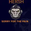 Sorry for the Pain - Single album lyrics, reviews, download