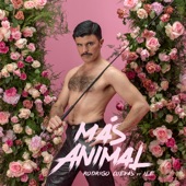 Más animal (feat. iLe) artwork