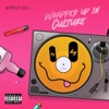 Wrapped Up In Culture - Single