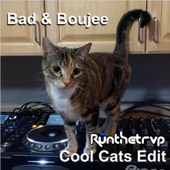 Bad and Boujee (Runthetrvp Cool Cats Edit) artwork