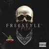 freestyle (feat. Dj Flippp) - Single album lyrics, reviews, download