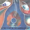 Mandol'in Progress - 21st Century Schizoid Man