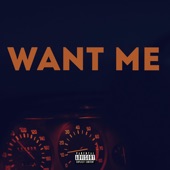 Want Me (feat. Cl4pers) artwork