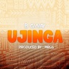Ujinga - Single
