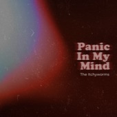 Panic In My Mind artwork