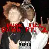 Dusk Till Dawn Pt. 2 (feat. A-P) - Single album lyrics, reviews, download
