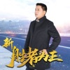 王海松 - 绝不后悔