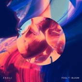 Fool (feat. Bloom) artwork