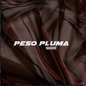 Peso Pluma (Instrumental Version) artwork