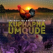 Luna Night Tbo - Kuphapha Umqude