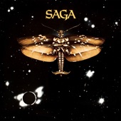 Saga - The Perfectionist