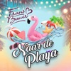 Naar de Playa - Single