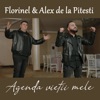 Agenda vietii mele - Single