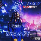 Shakey x Drug Music artwork