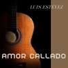 Amor Callado - Single