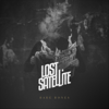 Lost Satellite - No Fun (feat. Mark Lanegan & Alain Johannes) artwork