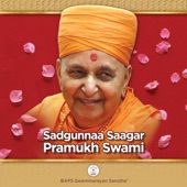 Sadgunnaa Saagar Pramukh Swami artwork
