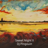 Dj Pingouin - Sweet Sleep I